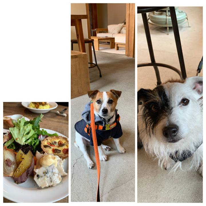 732ebca3 b5cf 4a18 8a04 0bf3b9c8cf04 1580010324530