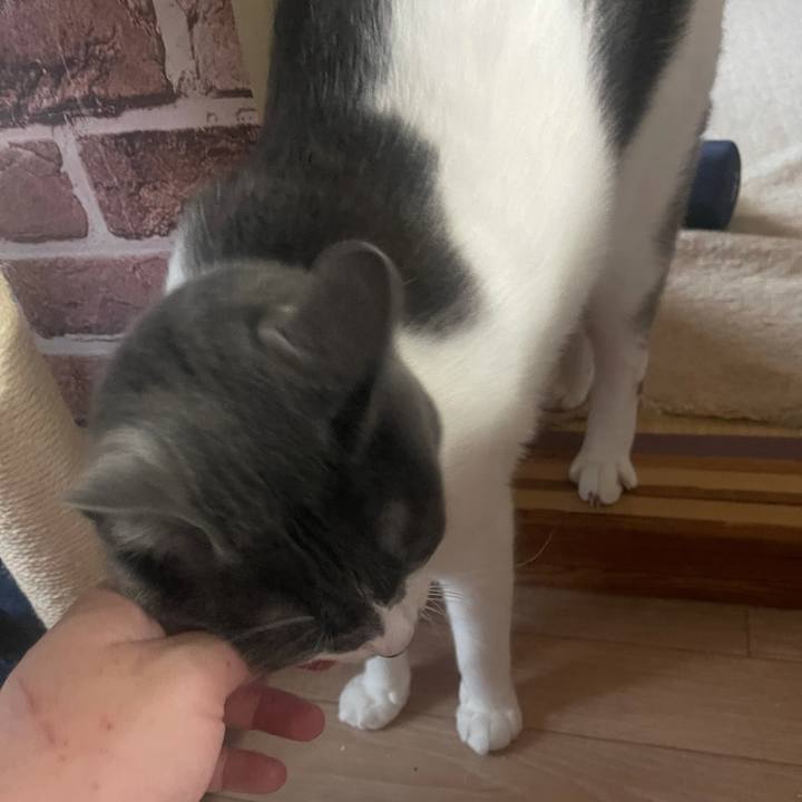 732ec4a8 4571 42f6 98ab 11086b5e3143 1624525865598