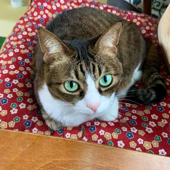 732ed18e 2275 4909 a769 e4e99aa3c5f5 1616575406671