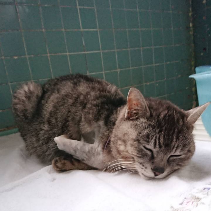 732ed279 2185 47a5 8f9d c69b6a95712d 1590572206838