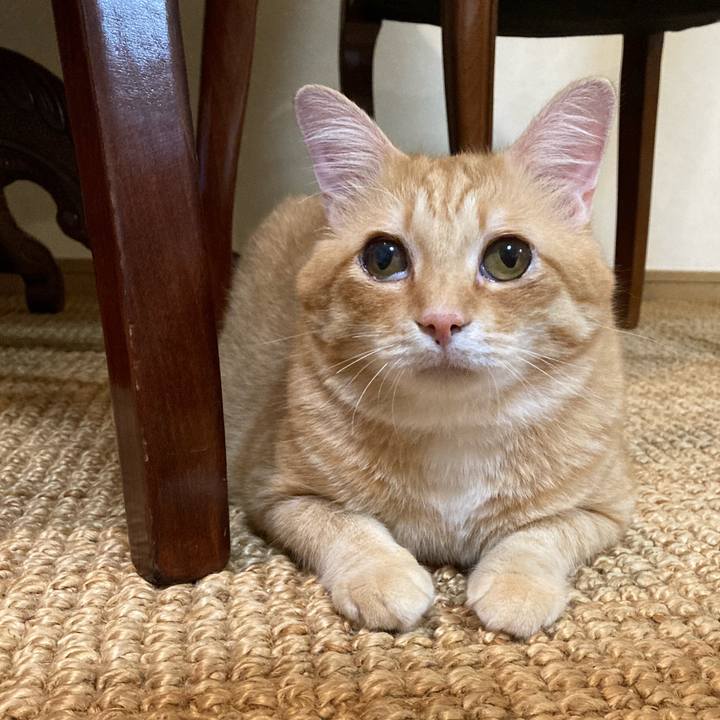 732ef401 7638 4c20 aed5 a1edca8b9102 1756988616654