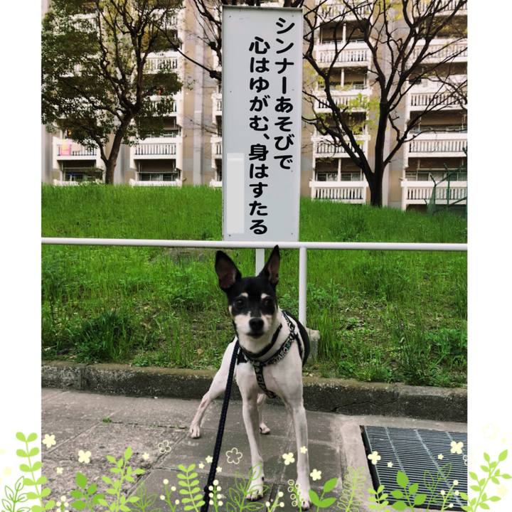 732f08d7 905f 478b 93fb 27ed21a417b0 1522746178757