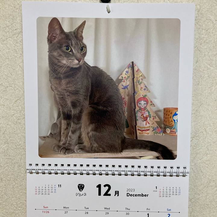 732f0fd0 79ba 4e9a a7f1 815a3529a2d2 1701435373499