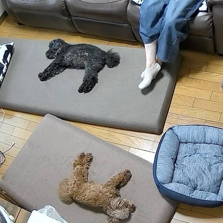 732f160e f66d 4ea9 b43c ad660390cc2a 1755937200439