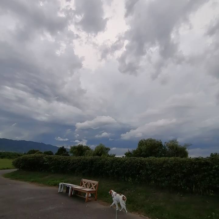 732f6e97 6609 4487 afea 4e1b74c5d25e 1599296802345