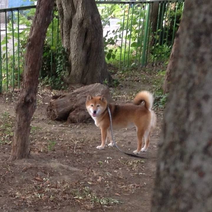 732fdfb0 c165 4ce7 bc42 74080a117e0b 1530608922748