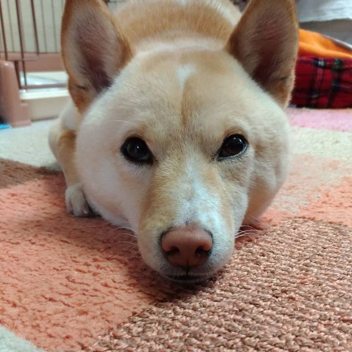 732fee34 0c65 4f4f ab15 5f86ab0c512a 1520407917885