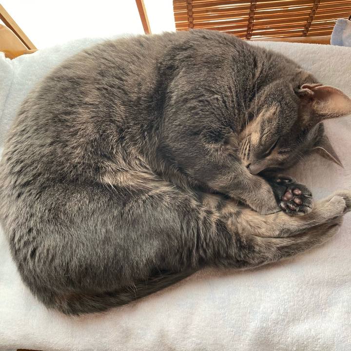 73300f23 ffe0 45da 897f 69e9c99afe09 1625896751876