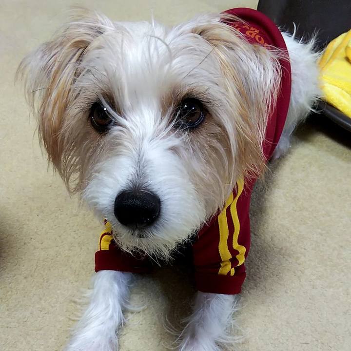 73304b61 275e 40f8 a459 6dc1fae0bcdd 1546494774538