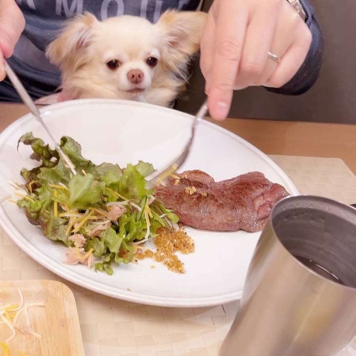 7330acdd 937b 4ab9 971d 2886aa0dadd4 1738675007690