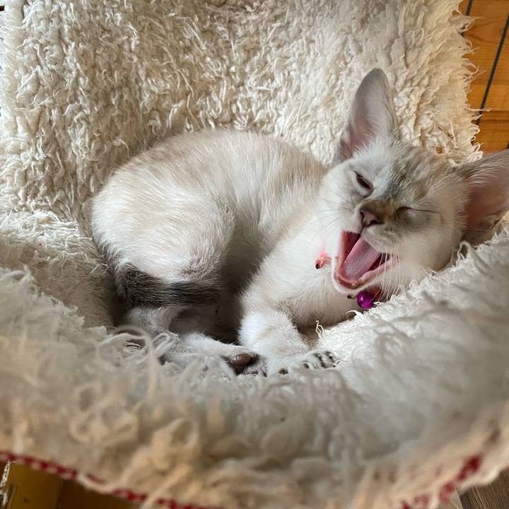 7330f718 b84a 439d 8d3e 0f1586b7ab44 1747539058795