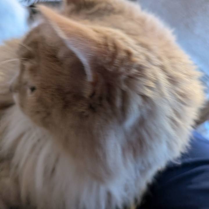 73312ad8 3208 4bf9 817d 547bebe07064 1725437669222