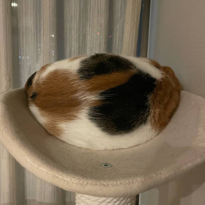 73314b64 0aa9 4ab3 9357 7ab9da34958f 1728912554807