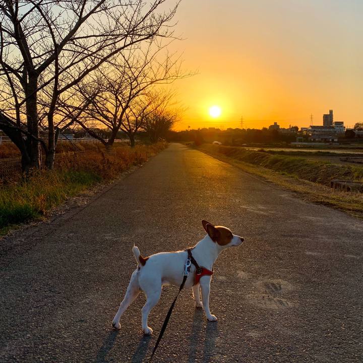 7331bc5f b67f 4c0b b7cd 043ca9c9e0ac 1550745713246