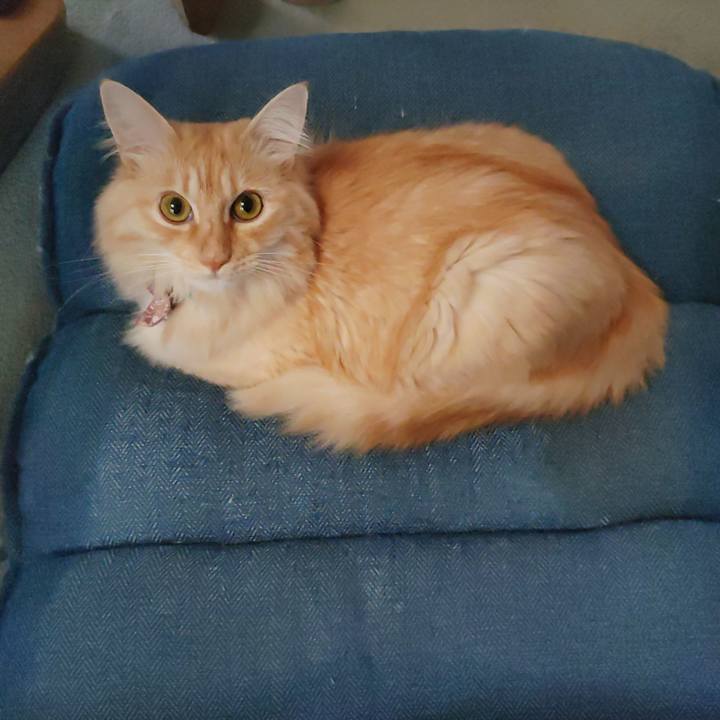 7331cb72 3866 4c29 9bb3 7bbc5a443fcd 1665973496707