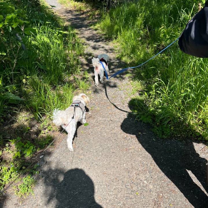 7331e7a5 8dad 4a29 b9c3 f4a66636618c 1683086211022