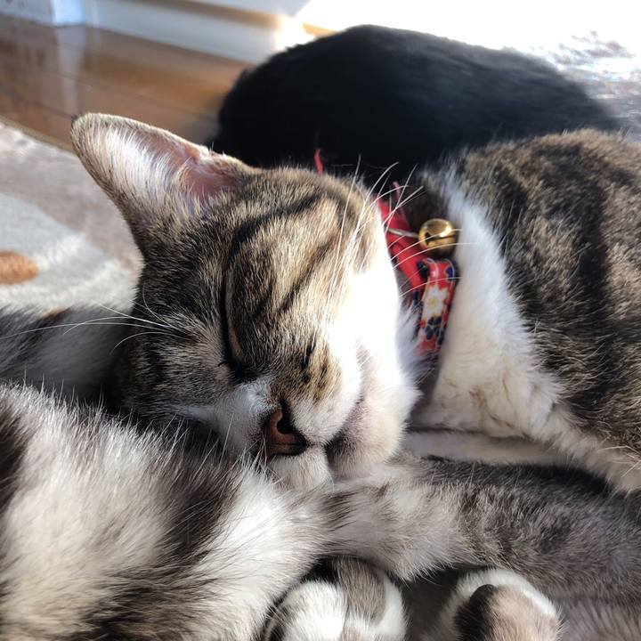 7331f8bb 2576 46f8 8537 3f19d89e7d11 1550330713943