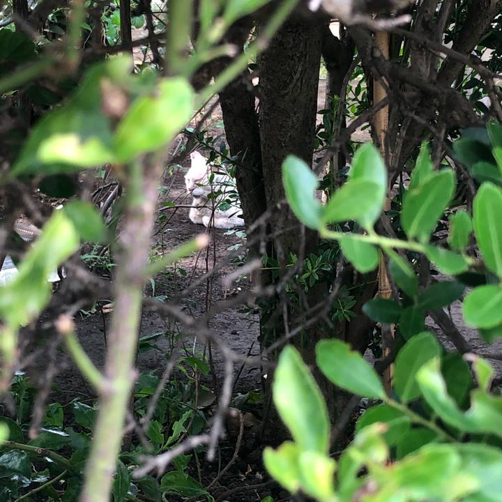 73320c2d 4a66 45e2 a07e 76046d9d077d 1566717608415