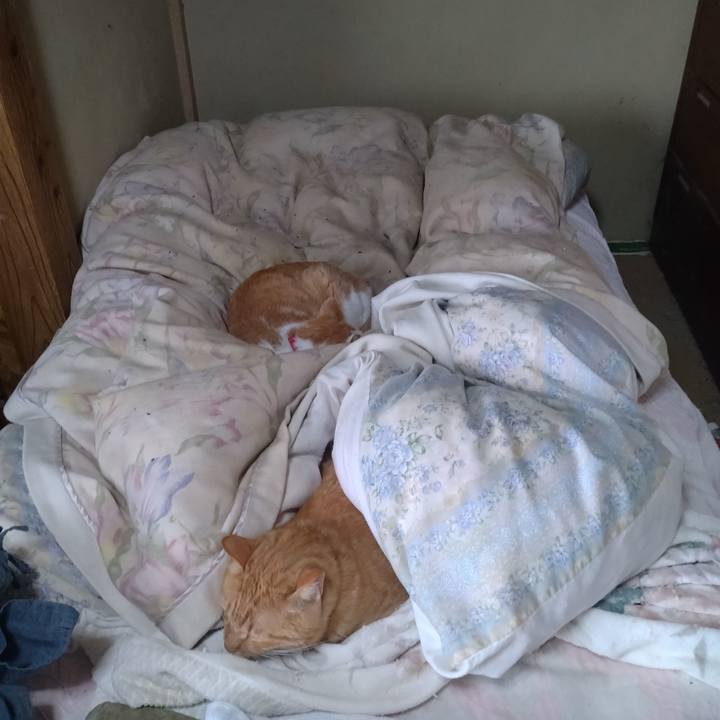 733240e8 b51d 4d1c ad8e 998301d25056 1762815385927