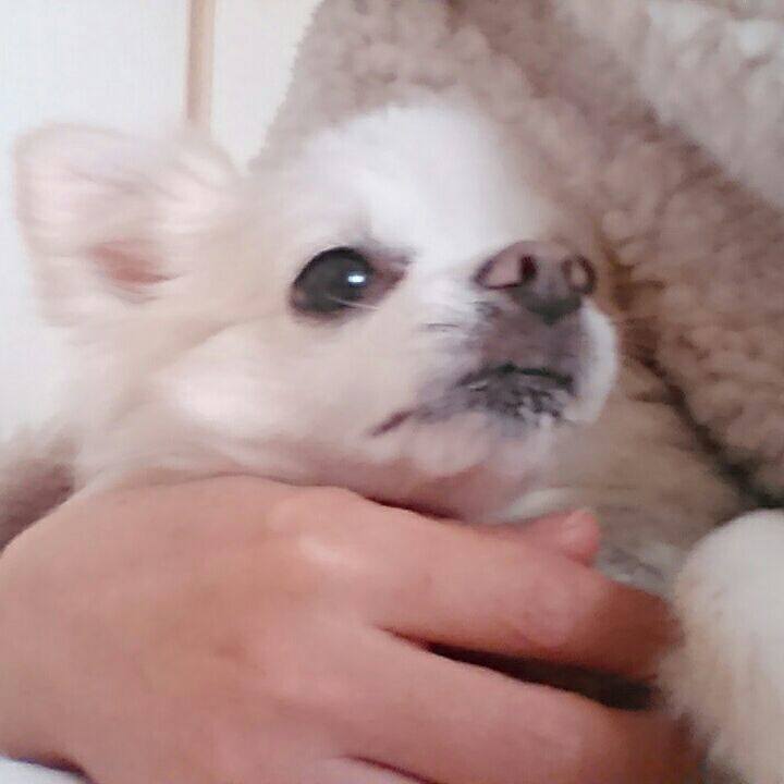 73326cc7 bd0f 4d3a 8e12 5d3a71911800 1510686017667