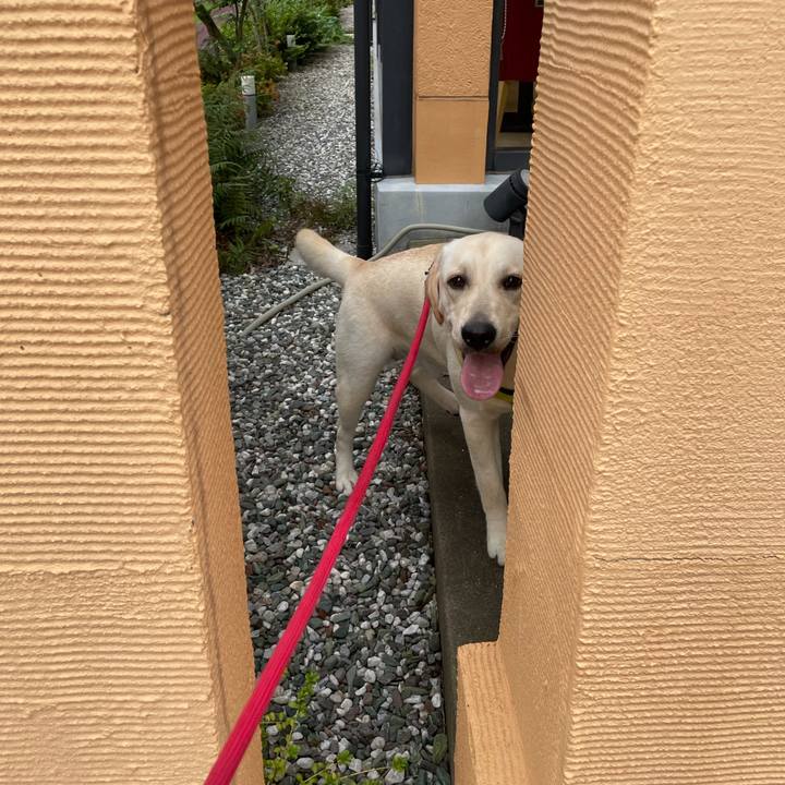 733289b0 4165 42cf af1c dbcddf5272ca 1632811701796