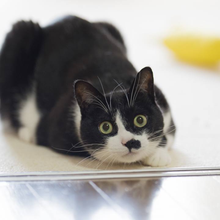 73329589 7039 4958 9be7 419472306a36 1553849928818