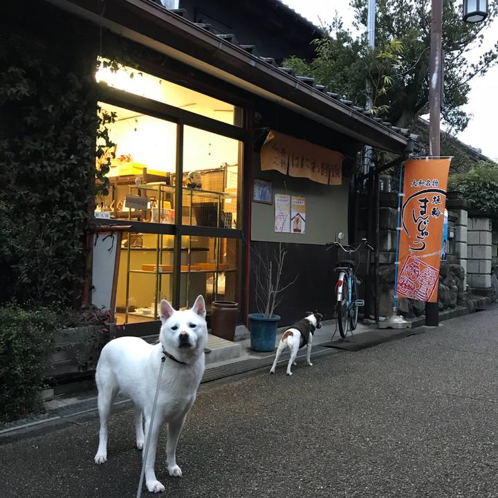 7332ab2e bffe 401e 829c 66c419fe0fbf 1517129819529