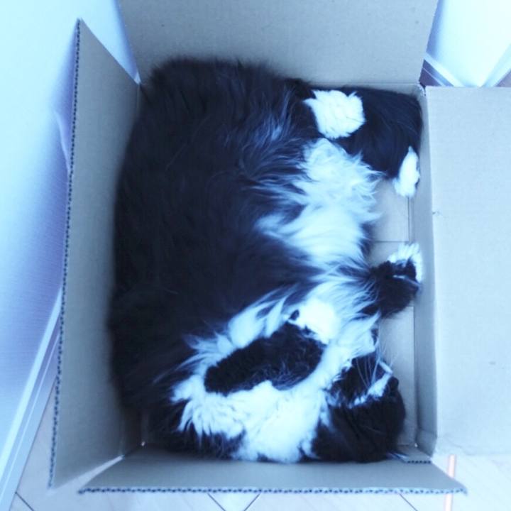 7332c001 3ce8 4cb9 b6b8 f8a0b3a4b5f0 1516239962446