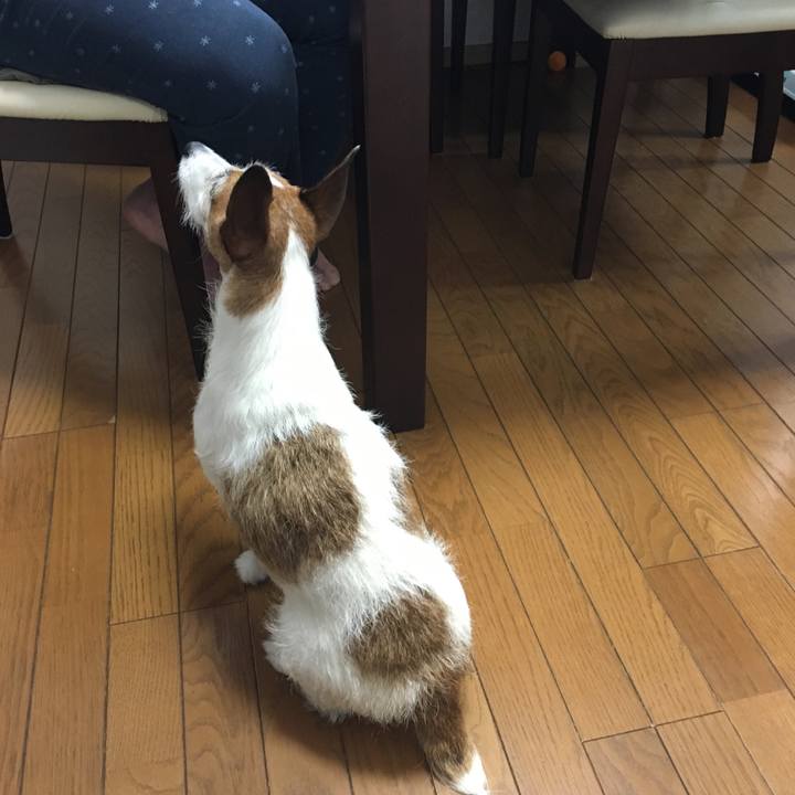 7333119e d821 4bd5 a976 cdf66606bc21 1591227791819