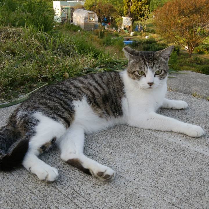 733320c4 b58f 44e0 949a 21221e069ef5 1525004396977