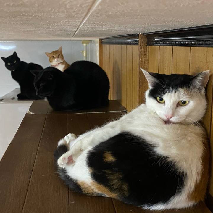 73337f1d ecb4 4f00 a7a5 53803b4af6db 1644181206209