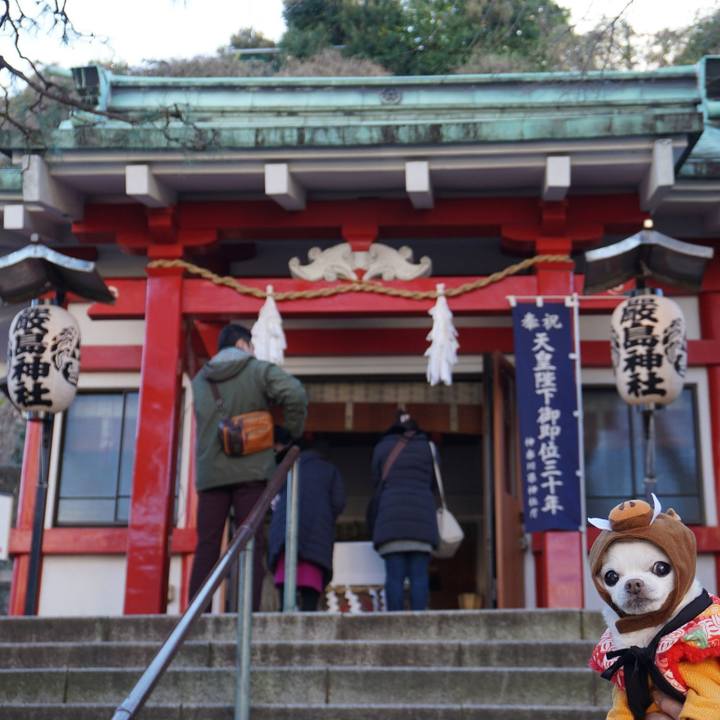 7333b30d 6dfd 48ff aa8f ce1aac9bdecb 1546406892587