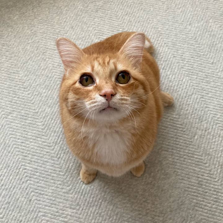 7333c69b df33 4600 bdcd 4c1d66ed2994 1772264257809