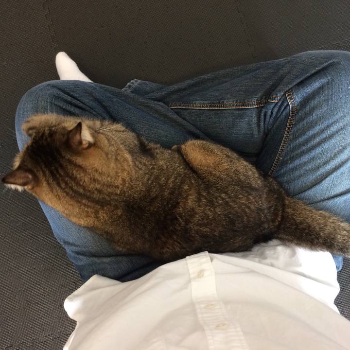 7333d454 882e 4e42 b59a 614838a9c4b3 1543028476370