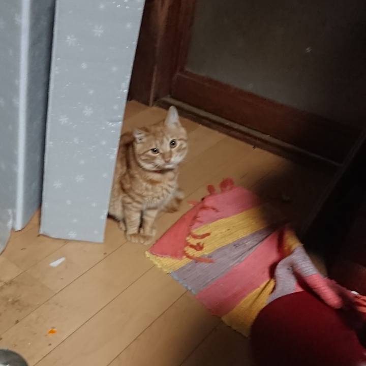 7333e75f c304 4eaa a7ef 251d72ae16c6 1639343491984