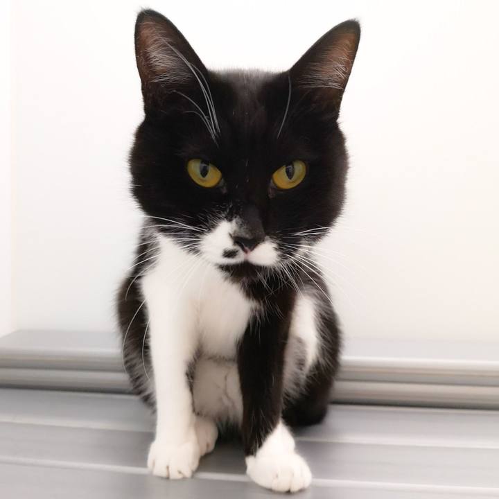 7333e7cd 9a77 49b1 a114 8d065d0315e6 1551282771978