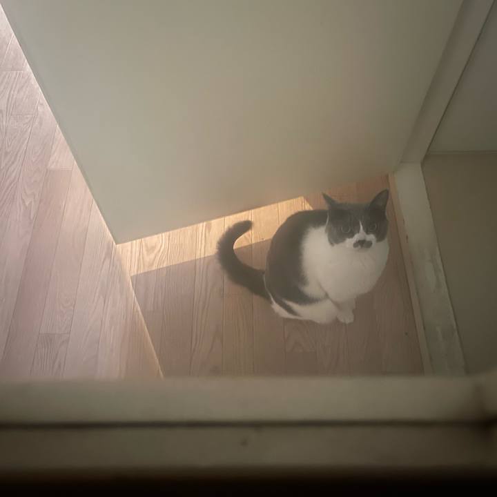 7334152f bfc3 47d9 90d5 15d210b9cda5 1709879317160