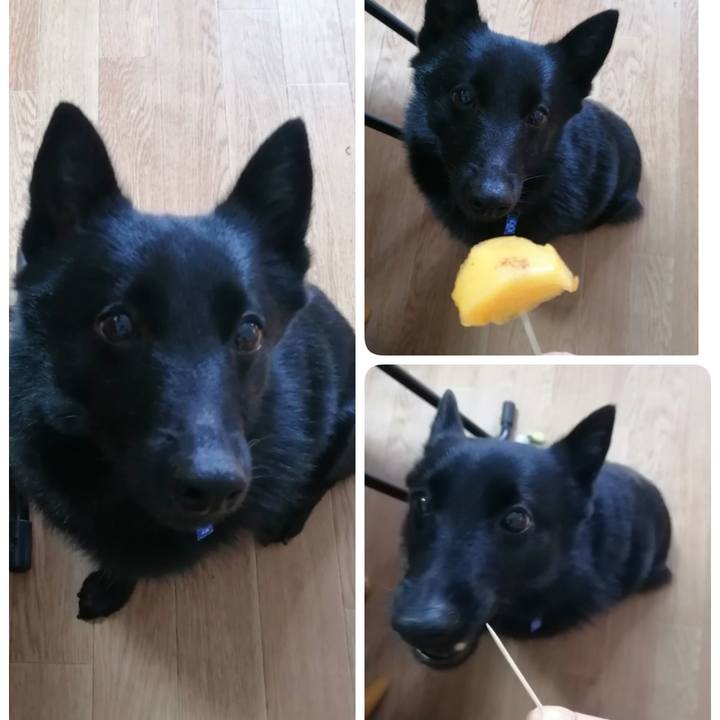 733459bf e164 4c43 8d8b 9ab9ace6a385 1634958197882