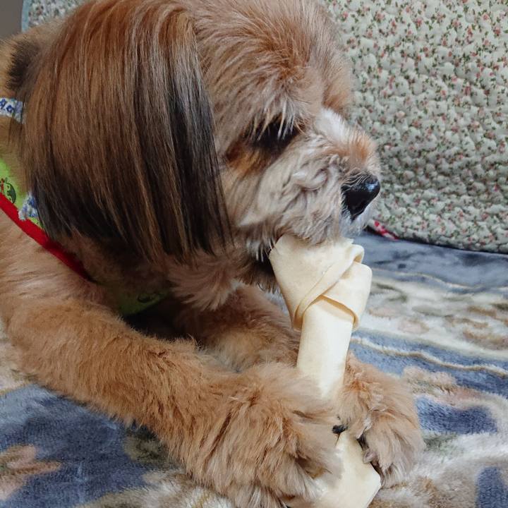 733480cd c246 4d33 9b26 2bb6dd3a110a 1585636768682