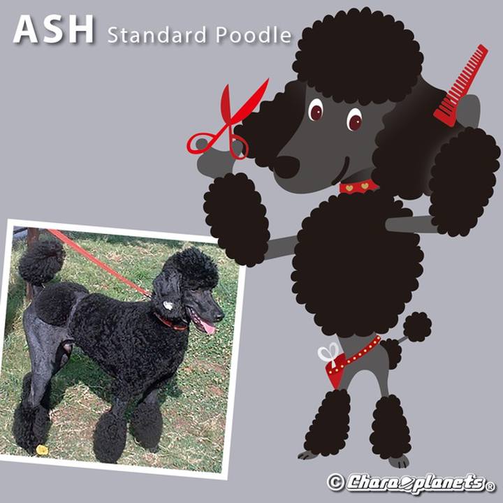 73349276 c74b 4e7b b047 942f3057ff11 1559363553379