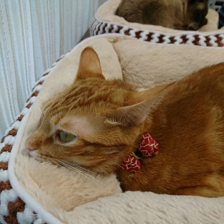 73349cbe 8ac0 44d1 9e3d 3170f0f64368 1508553683713