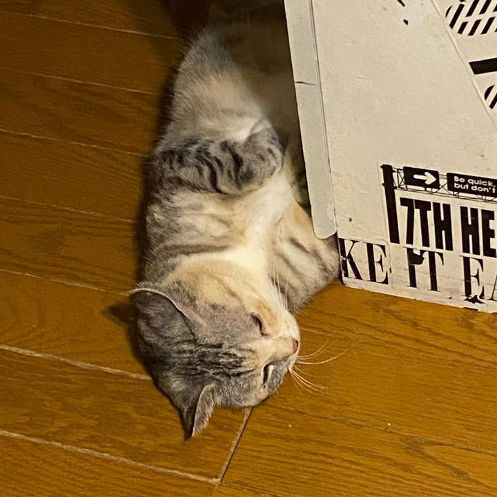 7334a586 3702 4a41 b871 829c1ced8534 1681645054027