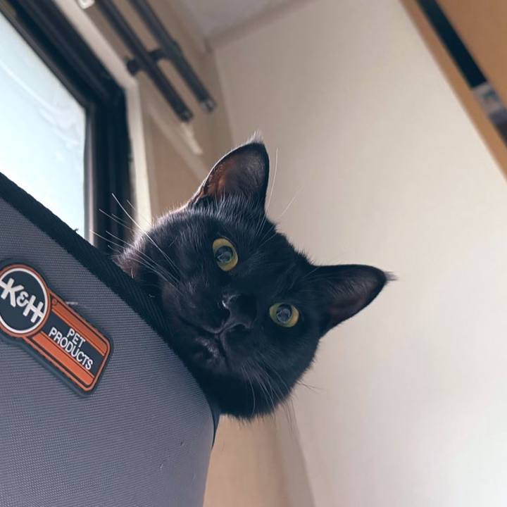 7334b708 30d7 414e afb2 e04d83be9f55 1760399440949