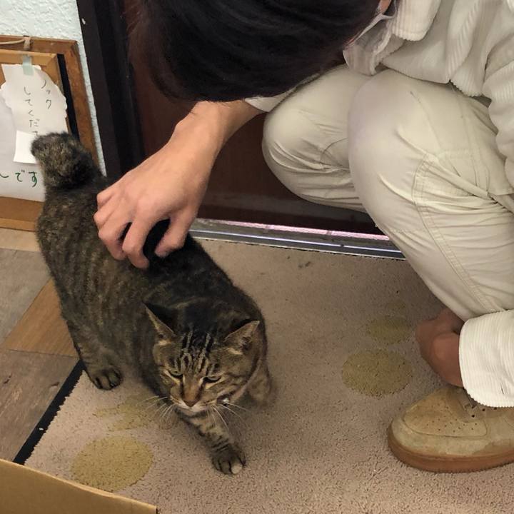 7334bd61 104a 4d30 9d9f ec1ac1b392c8 1610336920481