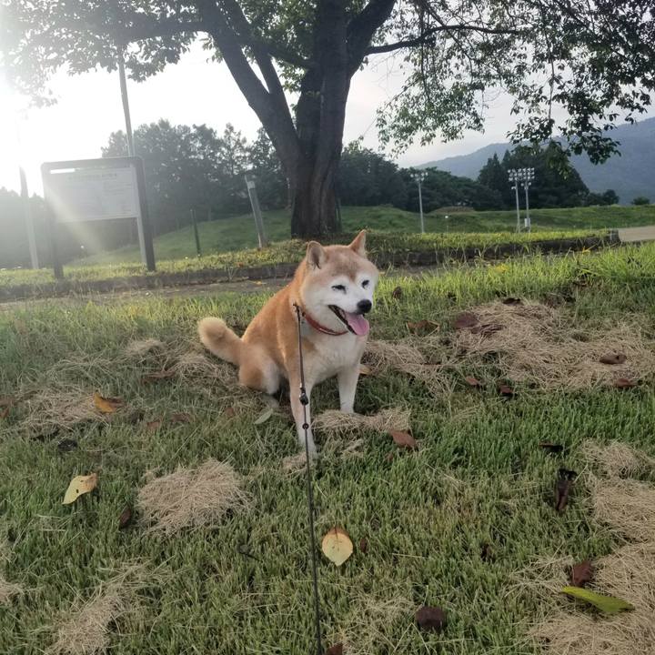 7334fb0d d1eb 40ff b93f 564851f11408 1724228541227