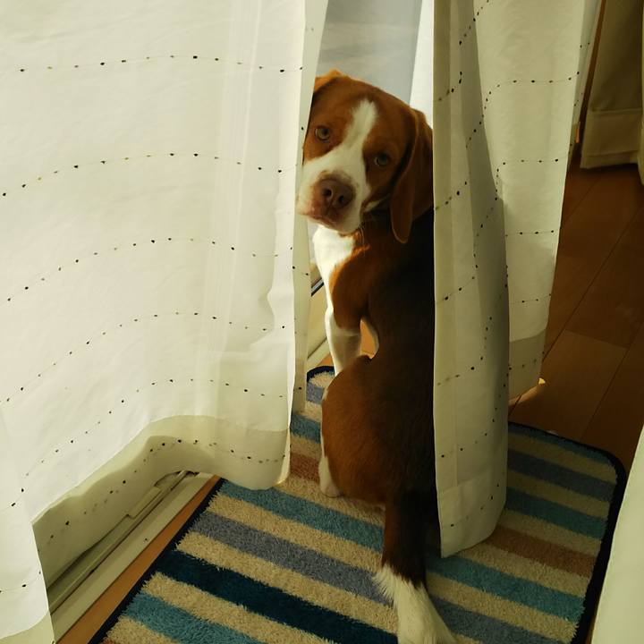 73352026 85d8 4799 bc69 8d2e00590427 1519436060991