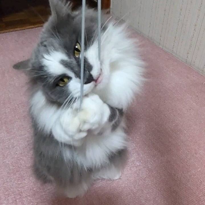 73352743 473b 41c7 a054 ea53e1b9d6c8 1680150393156