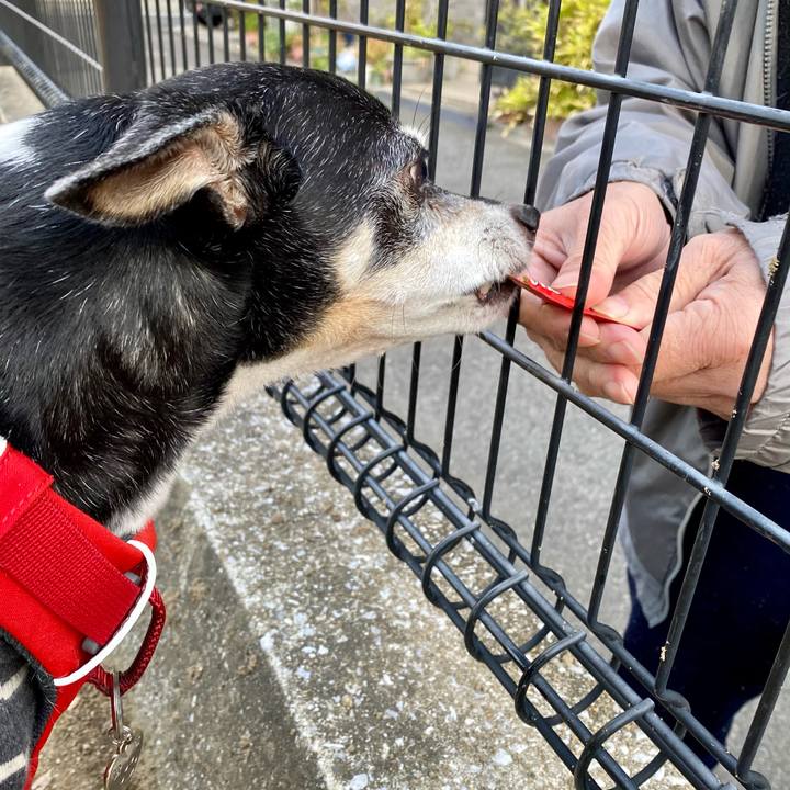 73355f74 6874 4030 9d2d 45a0bccf88d2 1617923378035