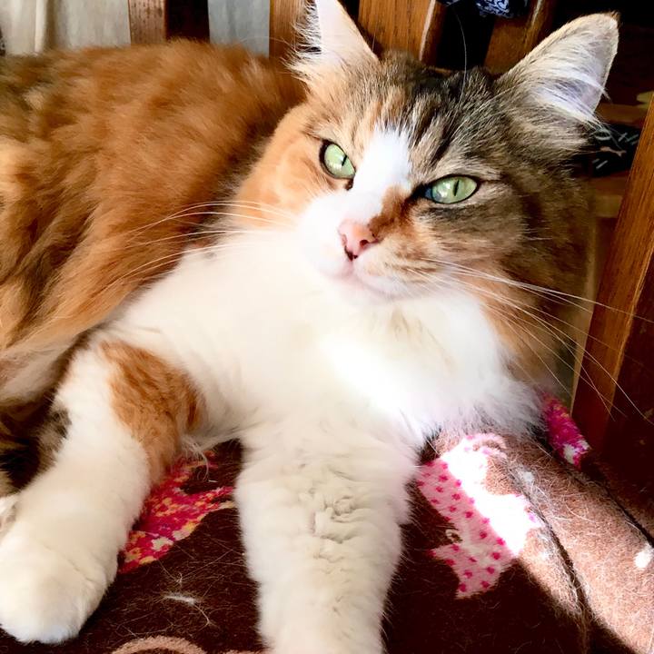 73357c9e 1307 4432 bec3 793bb4398358 1571814235057