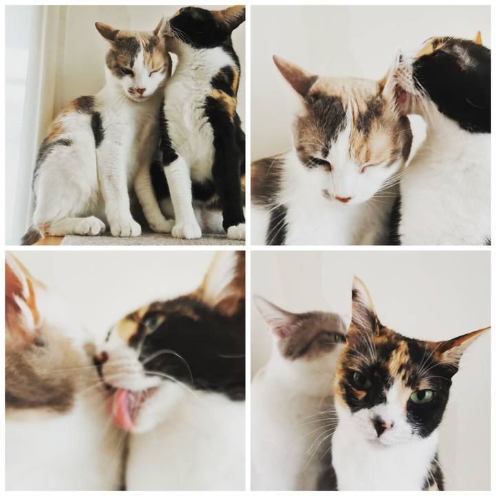 73358457 d52e 4d23 b3b3 d97b59c0fa62 1625560452621